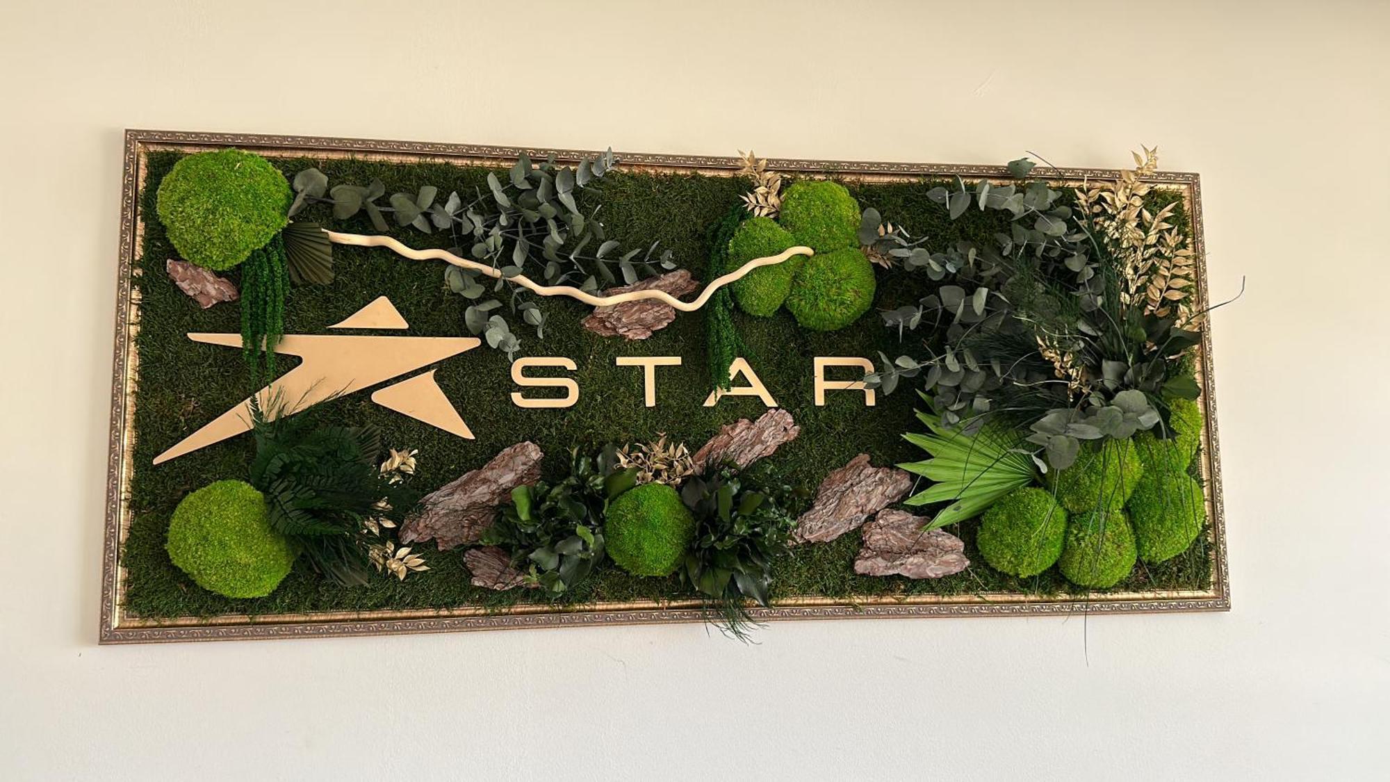 Star Hotel Тулча Екстериор снимка